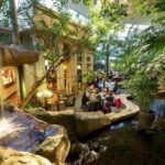 huttenheugte-subtropisch zwembad