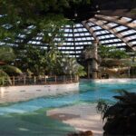 Center Parcs- De Kempervennen-overdekt zwembad